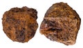 Two pieces brown limonite (bog iron ore) mineral