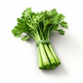 Photorealistic Renderings Of Green Celery On White Background