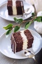 Two pieces of chocolate cake with cream cheese