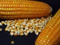 two pieces of corn and their scattered grains