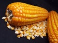 two pieces of corn and their scattered grains