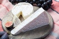 Two pieces of French soft cheeses Brie and Camembert with white mold and strong odor, served with fresh ripe figs and black grapes Royalty Free Stock Photo