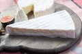 Two pieces of French soft cheeses Brie and Camembert with white mold and strong odor, served with fresh ripe figs Royalty Free Stock Photo