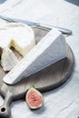 Two pieces of French soft cheeses Brie and Camembert with white mold and strong odor, served with fresh ripe figs Royalty Free Stock Photo