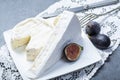 Two pieces of French soft cheeses Brie and Camembert with white mold and strong odor, served with fresh ripe figs Royalty Free Stock Photo