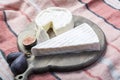 Two pieces of French soft cheeses Brie and Camembert with white mold and strong odor, served with fresh ripe figs Royalty Free Stock Photo