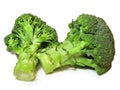 Two pieces of fresh Broccoli isolated on a white background Royalty Free Stock Photo