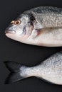 Two pieces of fresh Dorado fish on a black stone background.