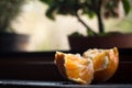 Two pieces of fresh orange juicy fruit laying on marble windowsill. dark Silhouette of a plant. background out of focus. Still lif Royalty Free Stock Photo