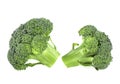 Two pieces of fresh raw broccoli isolated on white background. Healthy broccoli Royalty Free Stock Photo