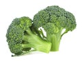 Two pieces of fresh raw broccoli isolated on white background. Healthy broccoli Royalty Free Stock Photo