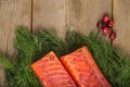 Gravlax with cranberry and greenery Royalty Free Stock Photo