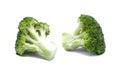 Two pieces of green broccoli Royalty Free Stock Photo