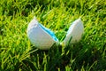 Two pieces of one white golf ball lay on green grass. Damaged golf ball, close up side photo Royalty Free Stock Photo
