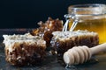 Two pieces of organic honeycomb with honey
