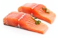 Two pieces of raw salmon steaks. Salmon piece of fresh raw fish on white background