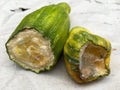 Two pieces of rotten cucumber Royalty Free Stock Photo
