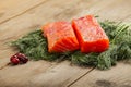 Salty salmon with cranberry Royalty Free Stock Photo