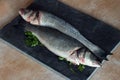 Two pieces of sea bass with fresh parsley sprigs on a vintage black slate and a marble table ready to cook. Royalty Free Stock Photo