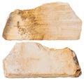 Two pieces of Shale mineral stone isolated