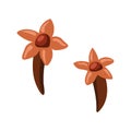 Two pieces of spice cloves