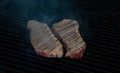 Two pieces of Striploin beef tips on getting grilled on a barbeque grill.GRILLING Royalty Free Stock Photo