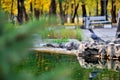 Two pigeons bathe and play in the fountain on a Sunny day. Royalty Free Stock Photo