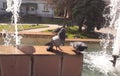 Two pigeons in a city fountain Royalty Free Stock Photo