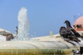 two pigeons cool off in the fountain under the hot sun Royalty Free Stock Photo
