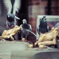 Two pigeons and Fountain with golden lucky frog - the symbol of Royalty Free Stock Photo