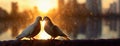 Two pigeons Sharing a Sunset Moment. A pair of lovebirds silhouette, their beaks touching in a tender display of Royalty Free Stock Photo