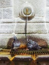 Two pigeons on water fountain Royalty Free Stock Photo