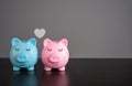 Two piggy banks in love.