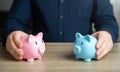 Two piggy banks symbolizing opposite genders. Royalty Free Stock Photo