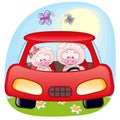 Two Pigs in a car
