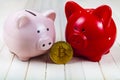 Two pigs piggy bank and bitcoin