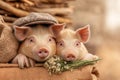 Two pigs sitting on a vintage travelling bag. Generative AI. Royalty Free Stock Photo