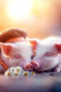 Two pigs sitting on a vintage travelling bag. Generative AI. Royalty Free Stock Photo