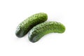 Two pimpled cucumbers isolated on a white background with a clipping path