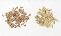 Two pinches of dill and fennel seeds on gray Royalty Free Stock Photo