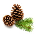 Two pine cones and a pine branch isolated on white background Royalty Free Stock Photo