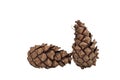 Two pine cones isolated on white background Royalty Free Stock Photo