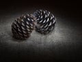 Two pine cones, touching, dark still life. Light painting. Royalty Free Stock Photo