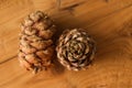 Two pine cones on the wooden background.