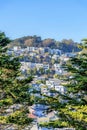 Two pine trees at Kate Hill park against the view of residential area on a slope in San Francisco