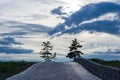 Two pine trees and road. Sunset cloudy sky. Nature background Royalty Free Stock Photo