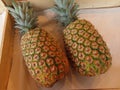 Two pineapples in box Royalty Free Stock Photo