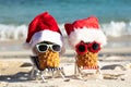 Two Pineapples With Santa Hats And Sunglasses Royalty Free Stock Photo