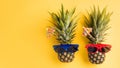 Two pineapples in sunglasses Royalty Free Stock Photo