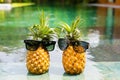 Two pineapples with sunglasses chilling by the pool Royalty Free Stock Photo